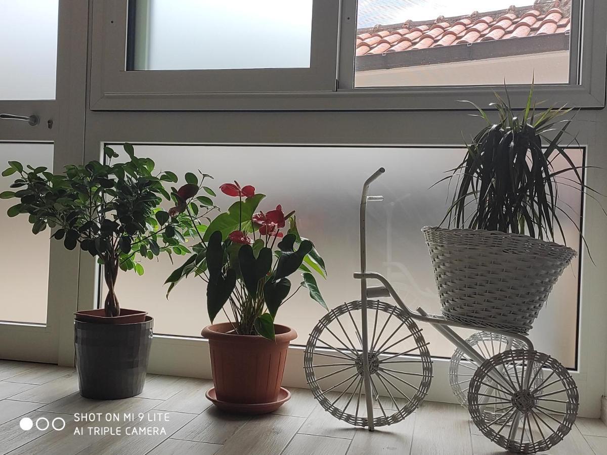 Il Labirinto Bed & Breakfast Sulmona Eksteriør bilde